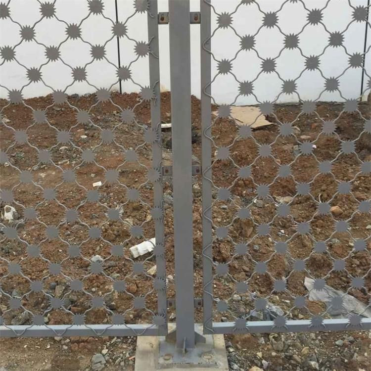 梅花刺監(jiān)獄防護網(wǎng)案例展示圖片4